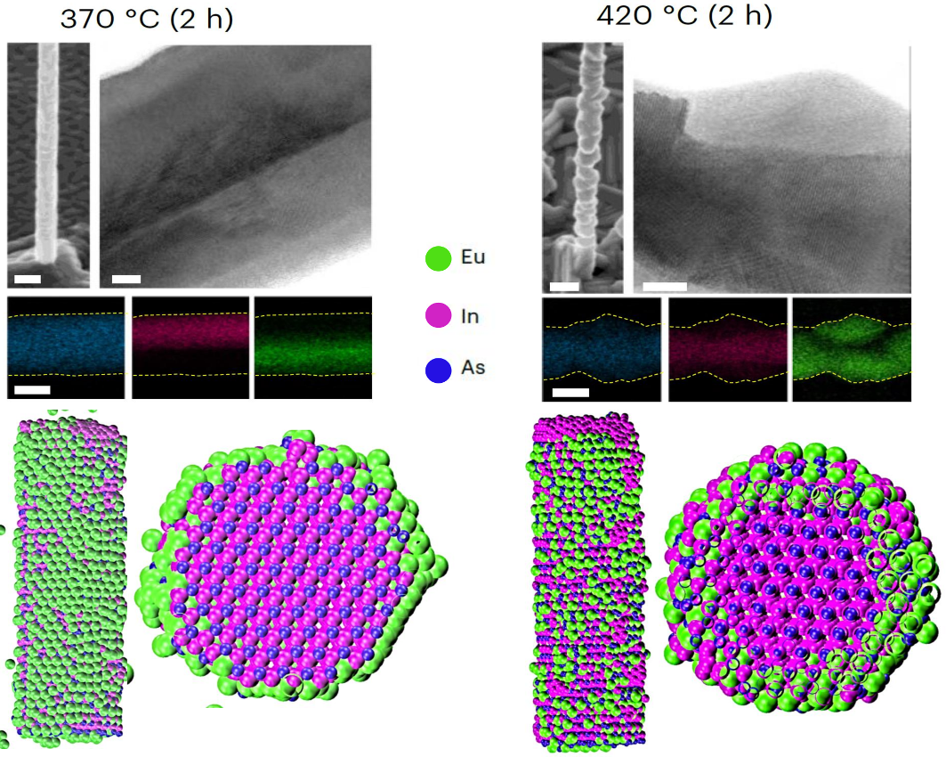 Tworzenie się warstwy EuAs na powierzchni nanodrutu InAs w niższych temperaturach i przebudowa nanodrutu InAs w kryształ Eu3In2As4 w wyższych temperaturach - wyniki eksperymentów i symulacje MD.