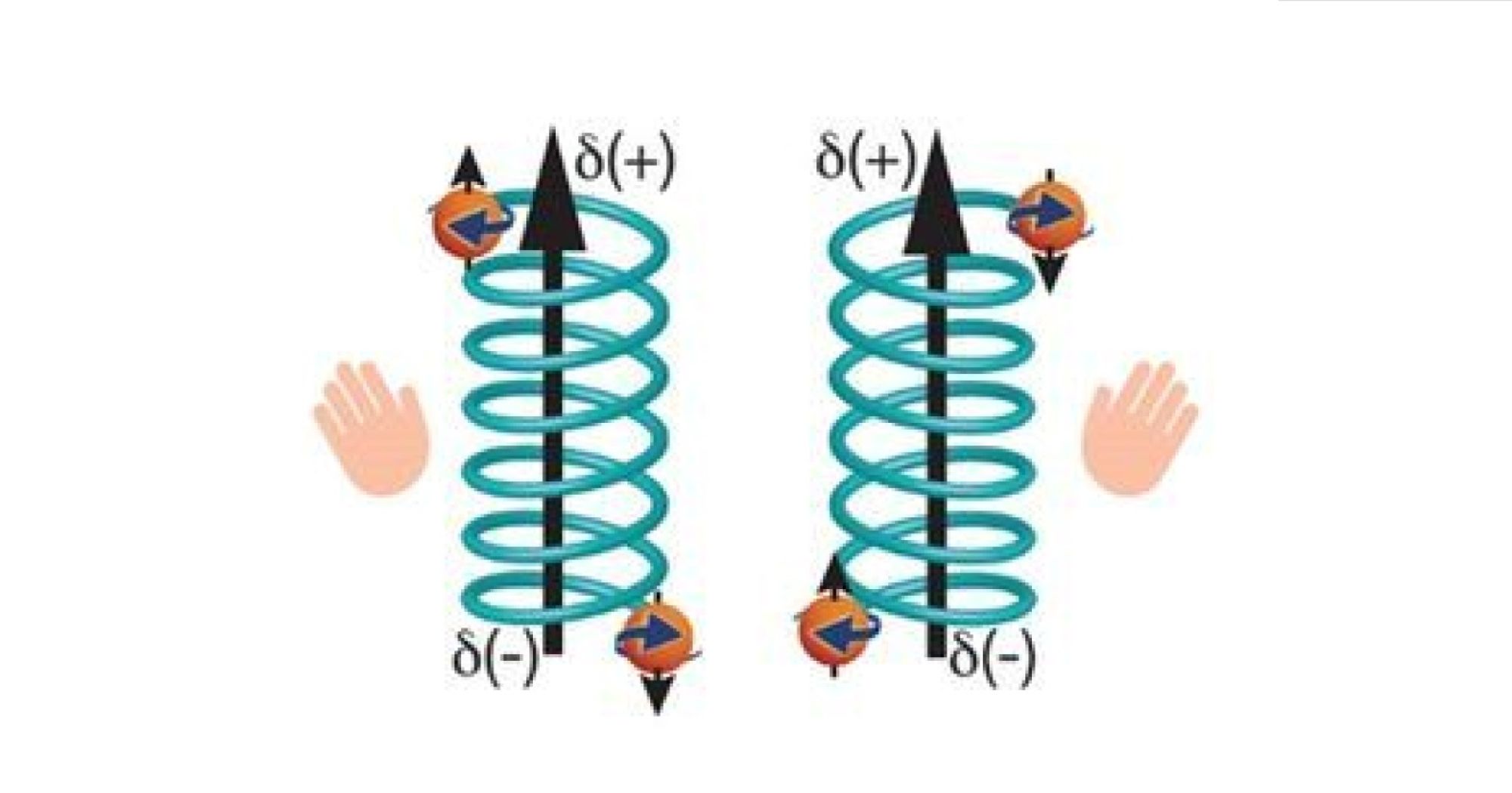 Nowa metoda separacji molekuł chiralnych w zależności od kierunku ich skręcenia przy użyciu nanostruktur magnetycznych